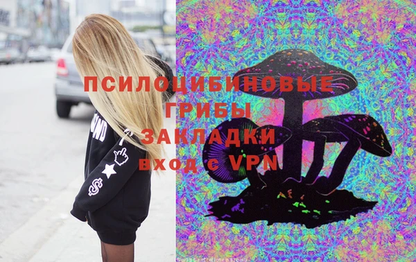 a pvp Михайловск