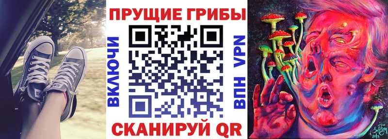 Галлюциногенные грибы мицелий  OMG зеркало  Ярцево 